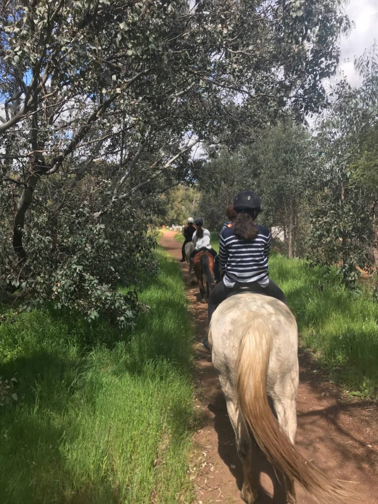 People riding horses along a park pathway.