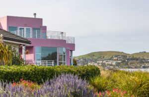 Modern coastal home with balcony overlooking hills and native gardens in summer.